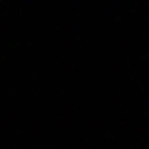 Meet your Posher, Elena